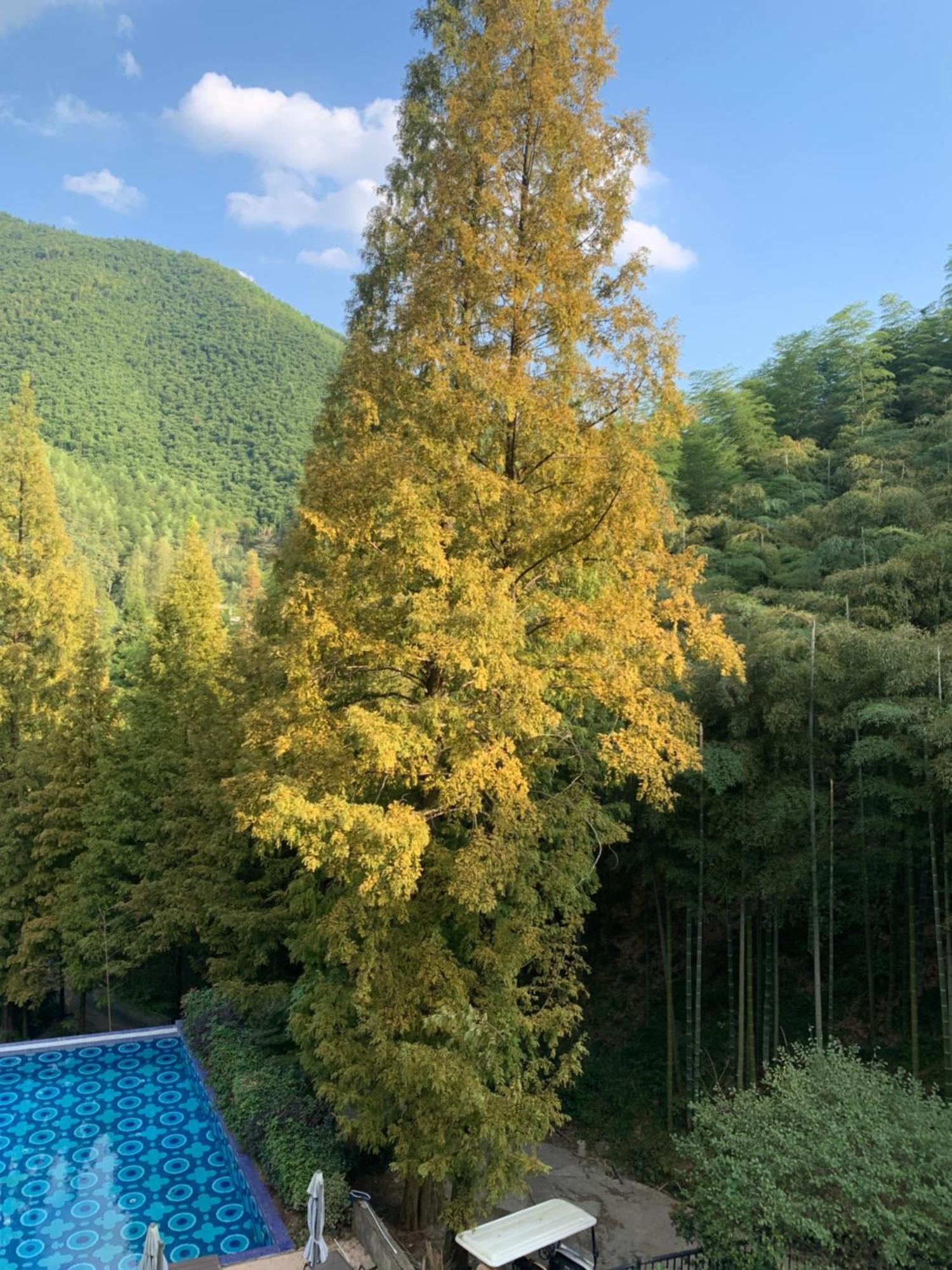 Moganshan Arcadia Resorts Deqing Extérieur photo